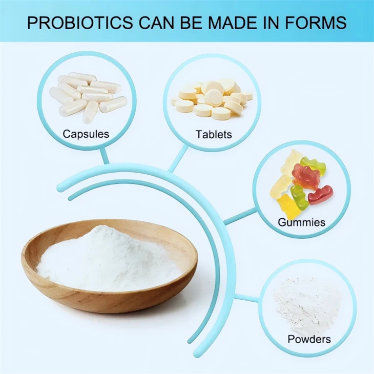 Bifidobacterium Lactis Animalis