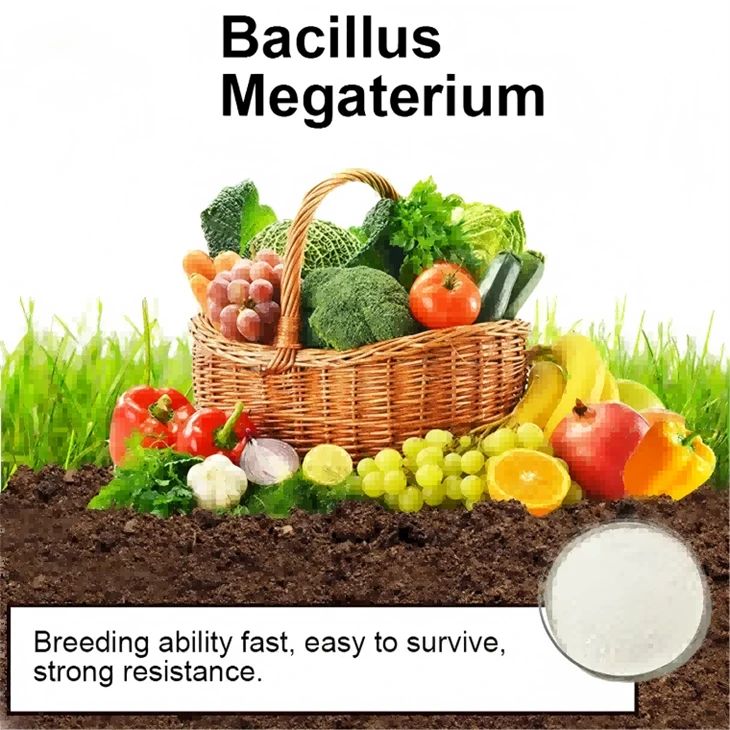 High Activity EM Bacteria